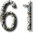 61